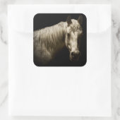 Sticker Carré Portrait de cheval VI (Sac)