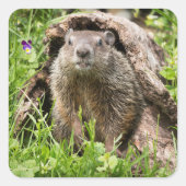 Sticker Carré Portrait de fond dans un journal creux (Devant)