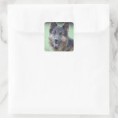 Sticker Carré Portrait de German Sheppard (Sac)