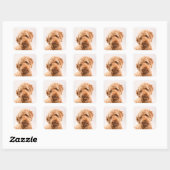 Sticker Carré Portrait de Goldendoodle Studio (Feuille)