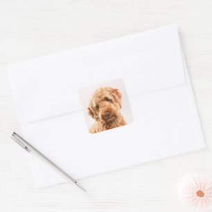 Sticker Carré Portrait de Goldendoodle Studio
