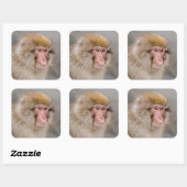 Sticker Carré Portrait de Macaque Brun (Feuille)