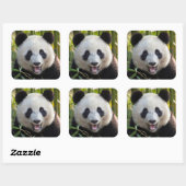 Sticker Carré Portrait de Panda Souriant (Feuille)