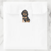 Sticker Carré Portrait du studio du chiot Rottweiler (Sac)