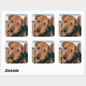 Sticker Carré Portrait d'un Airedale Terrier (Feuille)