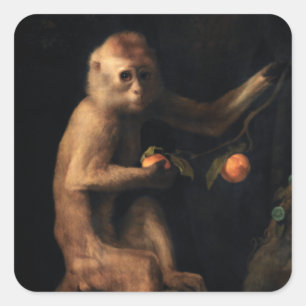 Sticker Carré Portrait d'un singe