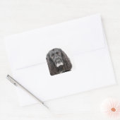 Sticker Carré Portrait studio de cocker spaniel (Enveloppe)