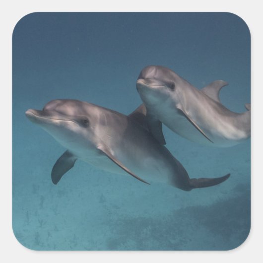 Sticker Carré Pose joueuse (Devant)