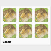 Sticker Carré Possession (Feuille)