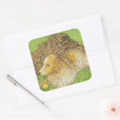 Sticker Carré Possession (Enveloppe)