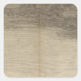 Sticker Carré Possession Bay, Géorgie du Sud