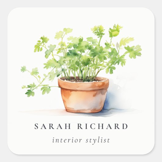 Sticker Carré Pot Herbe Persil Coriander Aquarelle Botanique (Devant)