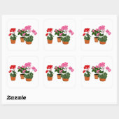 Sticker Carré Pots de Geraniums (Feuille)