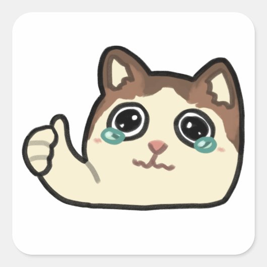 Sticker Carré pouce vers le haut en pleurant chat (Devant)
