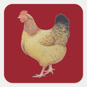 Sticker Carré Poulet 2012