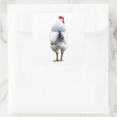 Sticker Carré Poulet Poulet Tourne La Queue et tourne (Sac)