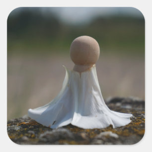 Sticker Carré Poupée sensuelle enveloppée dans une robe de fleur