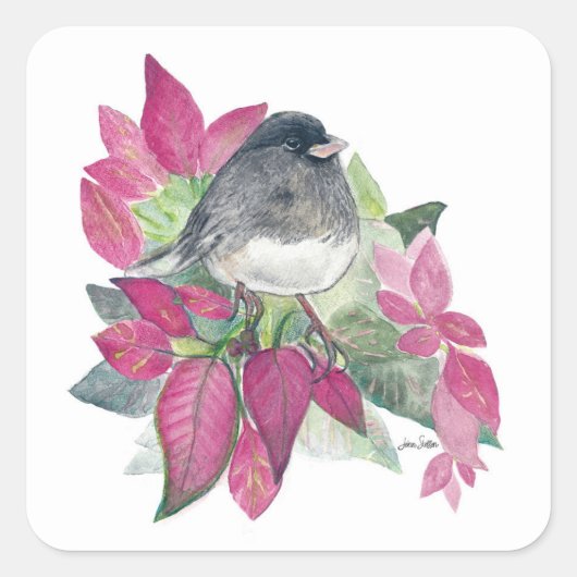Sticker Carré pour oiseaux Dark Eyed Junco (Devant)