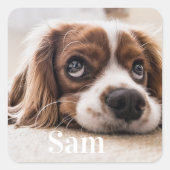 Sticker Carré pour photo de animal de compagnie pe (Devant)