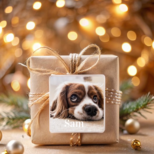 Sticker Carré pour photo de animal de compagnie pe