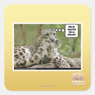 Sticker Carré Pourquoi les chiens trouvent-ils cela si difficile