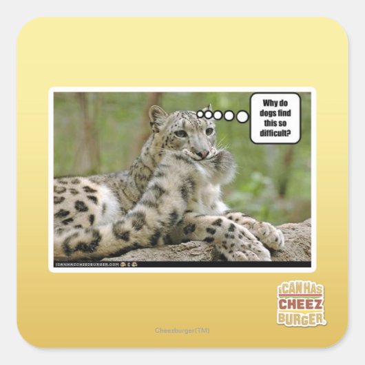 Sticker Carré Pourquoi les chiens trouvent-ils cela si difficile (Devant)