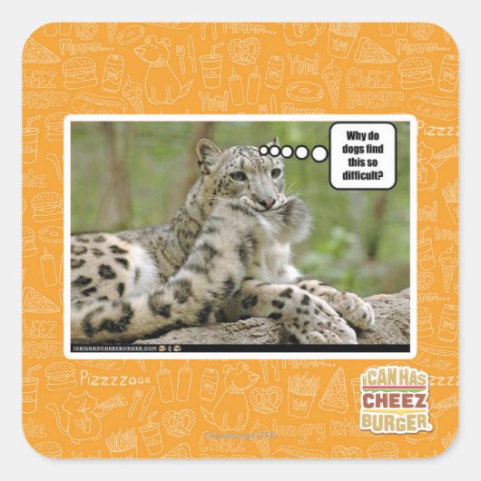 Sticker Carré Pourquoi les chiens trouvent-ils cela si difficile (Devant)