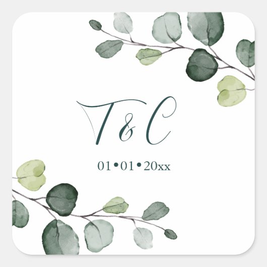 Sticker Carré Pousses de feuillage aquarelle d'eucalyptus PixDez (Devant)