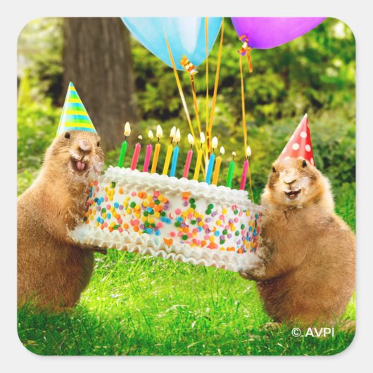 Sticker Carré Prairie Dog Birthday Party (Devant)