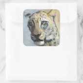 Sticker Carré Prédateur (Sac)