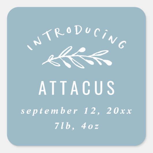 Sticker Carré Présentation du faire-part de naissance des branch (Devant)