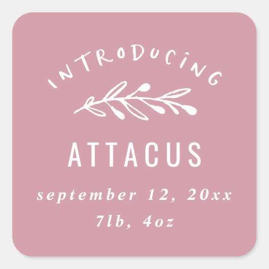 Sticker Carré Présentation du faire-part de naissance des branch (Devant)
