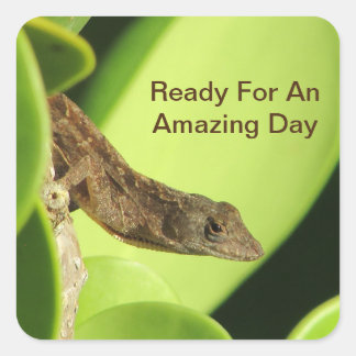 Sticker Carré Prêt Pour Une Journée Incroyable Cute Reptile Geck