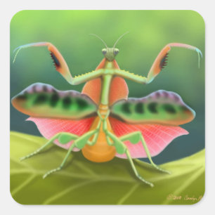 Sticker Carré Prière Mantis Afficher