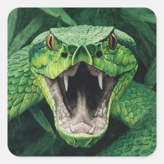 Sticker Carré Primal Power 008 – Serpent (Devant)