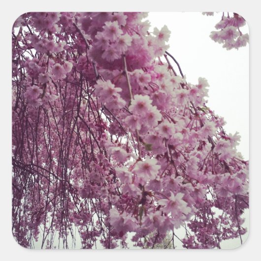 Sticker Carré Printemps (Devant)