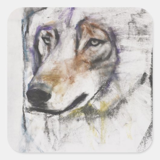 Sticker Carré Processo Al Lupo (Devant)