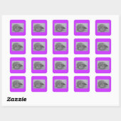 Sticker Carré Produits de hérisson (2) (Feuille)
