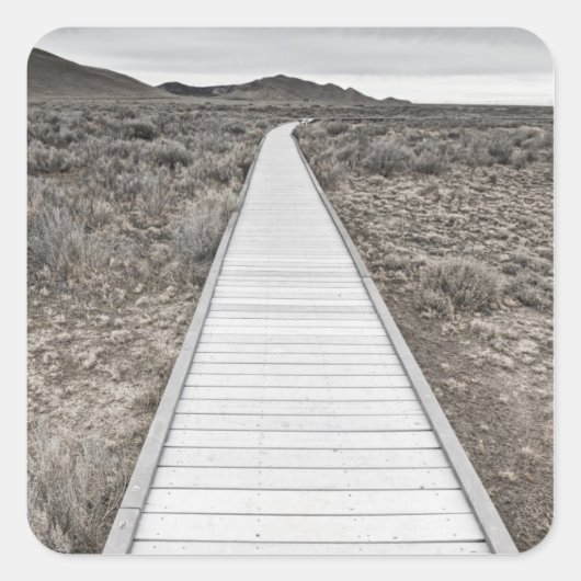 Sticker Carré Promenade à travers le désert (Devant)