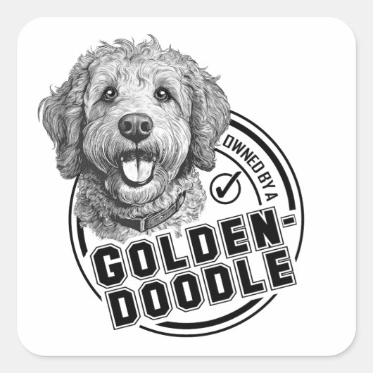 Sticker Carré Propriété d'un Goldendoodle (Devant)