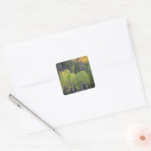 Sticker Carré Provo (Enveloppe)