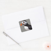 Sticker Carré Puffin (Enveloppe)