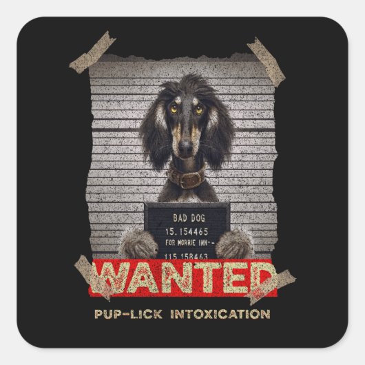 Sticker Carré Pup-Lick Intoxication: The Elegant Afghan Hound's  (Devant)
