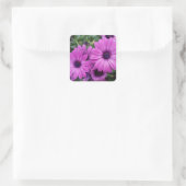 Sticker Carré Purple daisies (Sac)
