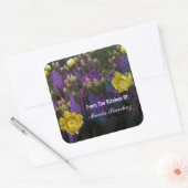 Sticker Carré Purple Prickly Pear Opuntia Cactus Fleurs Jaunes (Enveloppe)