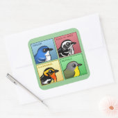 Sticker Carré Quatre Parulines couleur (Enveloppe)