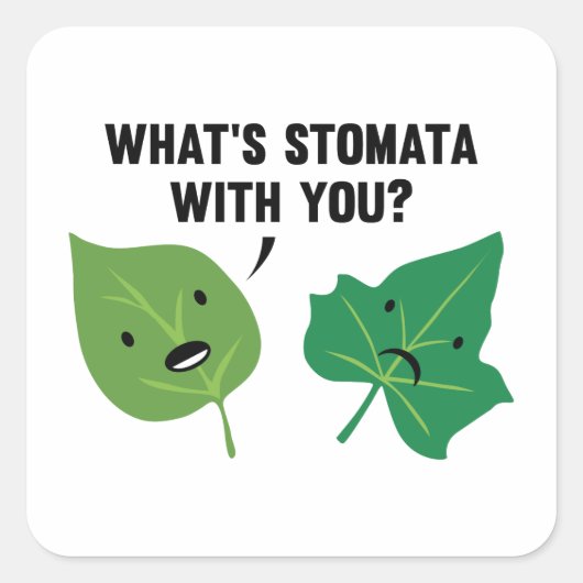 Sticker Carré Qu'est-ce que Stomata avec toi ? (Devant)