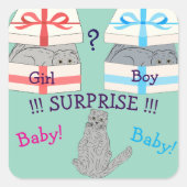 Sticker Carré Qui va naître surprise Bébé (Devant)