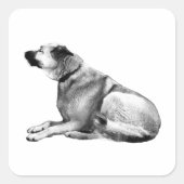 Sticker Carré Quiet Slope Sitter (Devant)