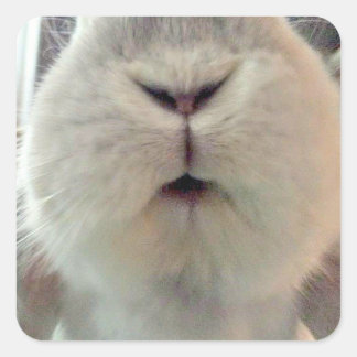 Sticker Carré Quincy Kisses